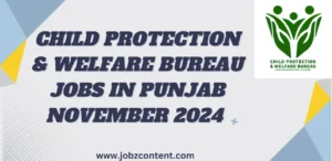 Child Protection & Welfare Bureau Jobs in Punjab November 2024 Advertisement