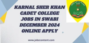 Karnal Sher Khan Cadet College Jobs In Swabi December 2024 Online Apply